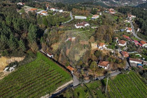 Villa i Celorico de Basto, Braga, Celorico de Basto - € 49.900 | Ref: 126221008-399 - foto 8