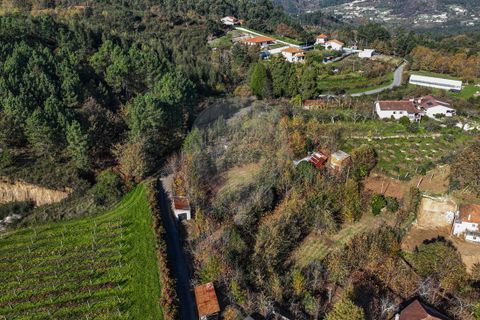 Villa i Celorico de Basto, Braga, Celorico de Basto - € 49.900 | Ref: 126221008-399 - foto 11