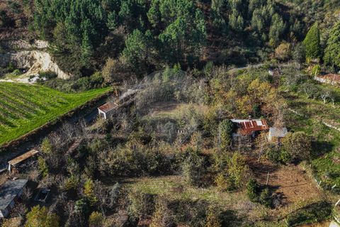 Villa i Celorico de Basto, Braga, Celorico de Basto - € 49.900 | Ref: 126221008-399 - foto 12