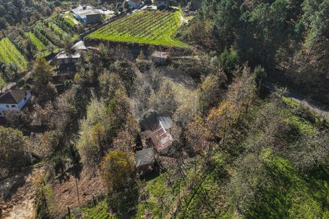 Villa i Celorico de Basto, Braga, Celorico de Basto - € 49.900 | Ref: 126221008-399 - foto 13