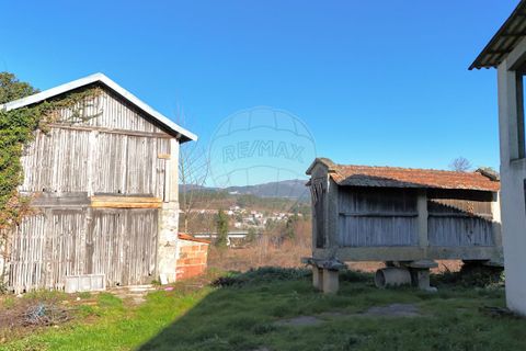 Villa i Cabeceiras de Basto, Braga, Cabeceiras de Basto - € 390.000 | Ref: 126311008-42 - foto 7