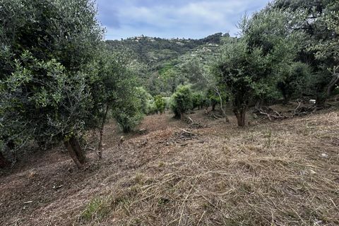 Terreno en Nice, Alpes-Maritimes, Nice - € 399.000 | Ref: 85585732 - photo 1