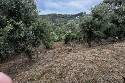 Terreno en Nice, Alpes-Maritimes, Nice - € 399.000 | Ref: 85585732 - photo 2