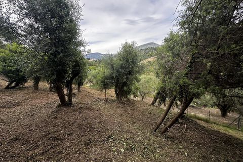 Terreno en Nice, Alpes-Maritimes, Nice - € 399.000 | Ref: 85585732 - photo 5