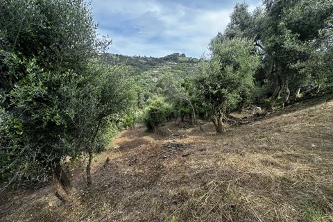 Terreno en Nice, Alpes-Maritimes, Nice - € 399.000 | Ref: 85585732 - photo 6