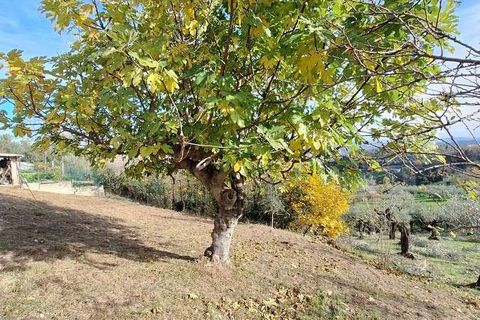 Villa a Penne, Pescara, Penne - € 42.000 | Ref: 1920-469046 - foto 7