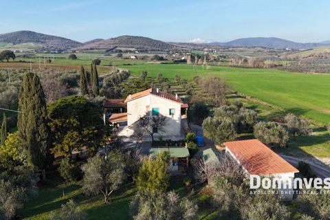 Landejendom i Capalbio, Grosseto, Capalbio - € 2.300.000 | Ref: v-0132 - foto 3