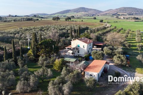 Landejendom i Capalbio, Grosseto, Capalbio - € 2.300.000 | Ref: v-0132 - foto 4