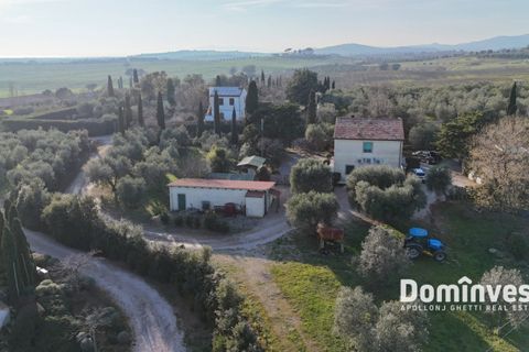 Landejendom i Capalbio, Grosseto, Capalbio - € 2.300.000 | Ref: v-0132 - foto 5