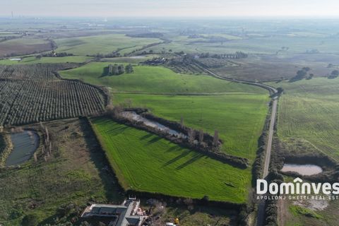 Landejendom i Capalbio, Grosseto, Capalbio - € 2.300.000 | Ref: v-0132 - foto 6
