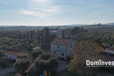Landejendom i Capalbio, Grosseto, Capalbio - € 2.300.000 | Ref: v-0132 - foto 9