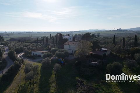 Landejendom i Capalbio, Grosseto, Capalbio - € 2.300.000 | Ref: v-0132 - foto 10