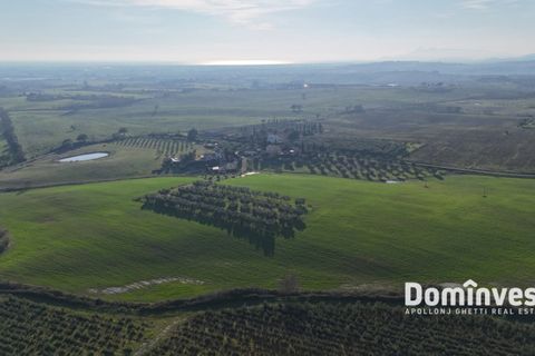 Landejendom i Capalbio, Grosseto, Capalbio - € 2.300.000 | Ref: v-0132 - foto 11