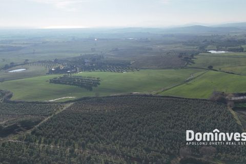 Landejendom i Capalbio, Grosseto, Capalbio - € 2.300.000 | Ref: v-0132 - foto 12