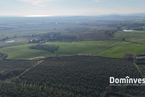 Landejendom i Capalbio, Grosseto, Capalbio - € 2.300.000 | Ref: v-0132 - foto 13
