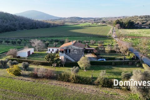 Landejendom i Capalbio, Grosseto, Capalbio - € 930.000 | Ref: v-0133 - foto 1