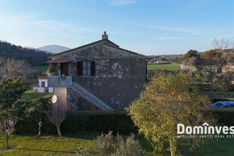 Landejendom i Capalbio, Grosseto, Capalbio - € 930.000 | Ref: v-0133 - foto 3