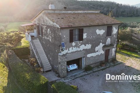 Landejendom i Capalbio, Grosseto, Capalbio - € 930.000 | Ref: v-0133 - foto 4