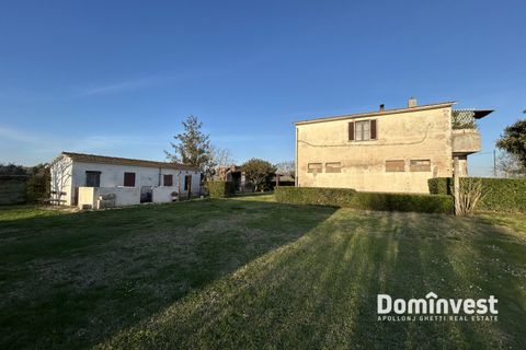 Landejendom i Capalbio, Grosseto, Capalbio - € 930.000 | Ref: v-0133 - foto 6