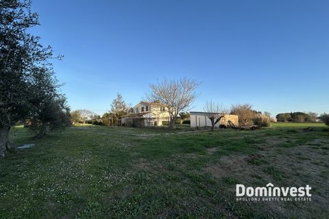 Landejendom i Capalbio, Grosseto, Capalbio - € 930.000 | Ref: v-0133 - foto 7