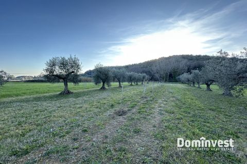 Landejendom i Capalbio, Grosseto, Capalbio - € 930.000 | Ref: v-0133 - foto 8