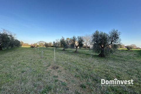 Landejendom i Capalbio, Grosseto, Capalbio - € 930.000 | Ref: v-0133 - foto 9