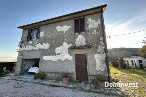Landejendom i Capalbio, Grosseto, Capalbio - € 930.000 | Ref: v-0133 - foto 11