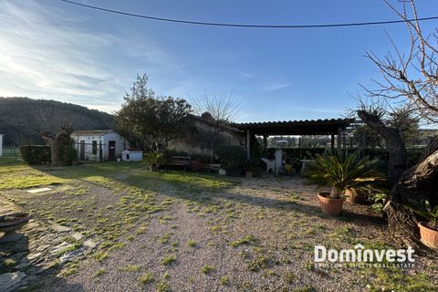 Landejendom i Capalbio, Grosseto, Capalbio - € 930.000 | Ref: v-0133 - foto 12
