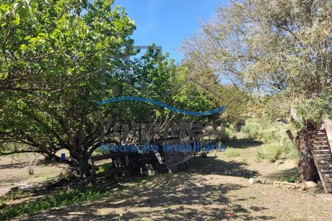 Villa a Alenquer, Lisbon, Alenquer - € 463.000 | Ref: ZI-487 - foto 17
