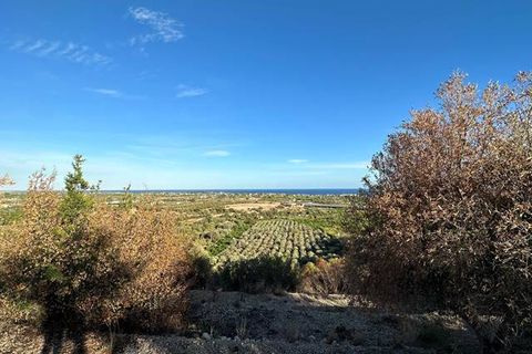 Helårsgrund i Noto, Siracusa, Noto - € 65.000 | Ref: V000087 - foto 6