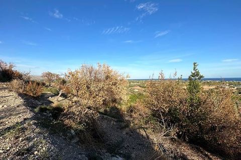 Helårsgrund i Noto, Siracusa, Noto - € 65.000 | Ref: V000087 - foto 8