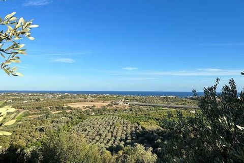 Helårsgrund i Noto, Siracusa, Noto - € 65.000 | Ref: V000087 - foto 10