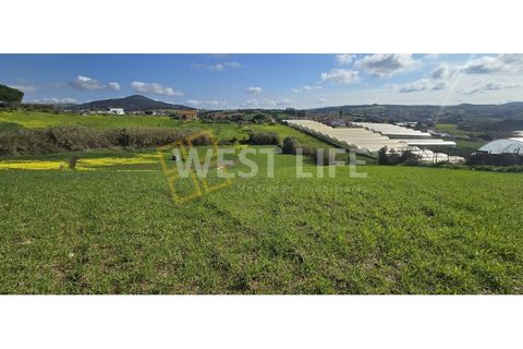 Helårsgrund i Mafra, Lisbon, Mafra - € 115.000 | Ref: 5361WE - foto 7