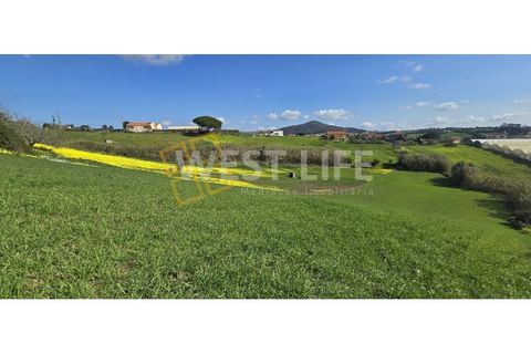 Helårsgrund i Mafra, Lisbon, Mafra - € 115.000 | Ref: 5361WE - foto 8