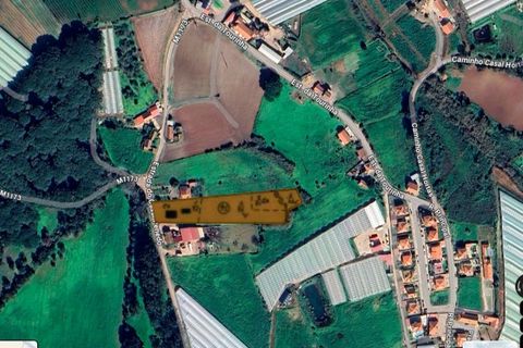 Helårsgrund i Mafra, Lisbon, Mafra - € 115.000 | Ref: 5361WE - foto 16