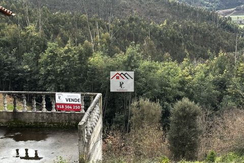 Terra a Penacova, Coimbra, Penacova - € 12.500 | Ref: V913PV - foto 2