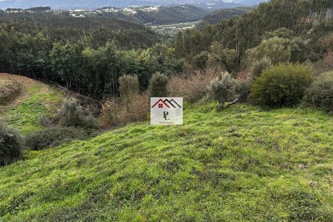 Terra a Penacova, Coimbra, Penacova - € 12.500 | Ref: V913PV - foto 4