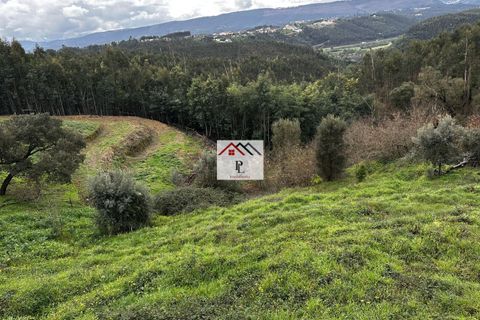 Terra a Penacova, Coimbra, Penacova - € 12.500 | Ref: V913PV - foto 5