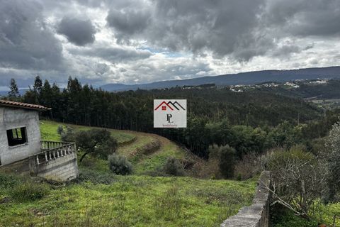 Terra a Penacova, Coimbra, Penacova - € 12.500 | Ref: V913PV - foto 8