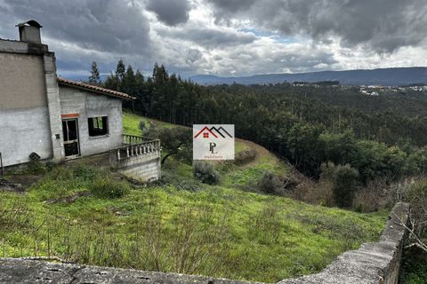 Terra a Penacova, Coimbra, Penacova - € 12.500 | Ref: V913PV - foto 9