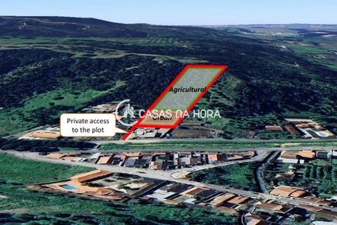Terra a Chamusca, Santarem, Chamusca - € 60.580 | Ref: cascais/T/01050 - foto 5