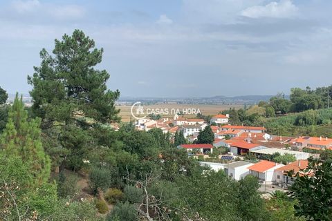 Terra a Chamusca, Santarem, Chamusca - € 60.580 | Ref: cascais/T/01050 - foto 7