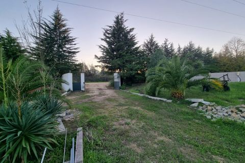 Villa a Tramagal, Santarem, Tramagal - € 440.000 | Ref: 24-IV-0202 - foto 5