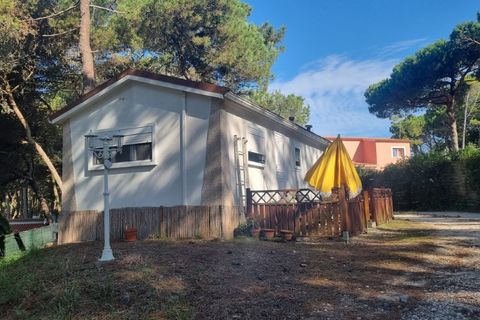 Villa i Sintra, Lisbon, Sintra - € 1.850.000 | Ref: 23-IV-0099 - SP - foto 47