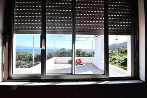 Villa i Sao Roque do Pico, Pico, Sao Roque do Pico - € 450.000 | Ref: 374250010 - foto 13