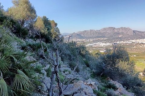 Terra a La Sella, Alicante, La Sella - € 225.000 | Ref: RU 0001 - foto 7