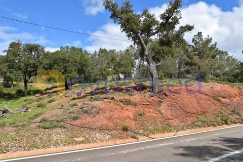 Tomt i Alte, Faro, Alte - € 25 000 | Ref: TE-10 (PR-023) - foto 2