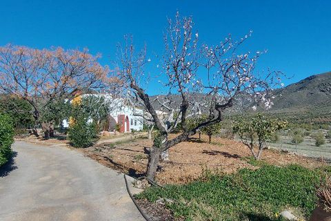 Landejendom i Sorbas, Almeria, Sorbas - € 595.000 | Ref: SOR418 - foto 5