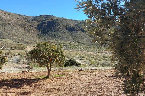 Landejendom i Sorbas, Almeria, Sorbas - € 595.000 | Ref: SOR418 - foto 7