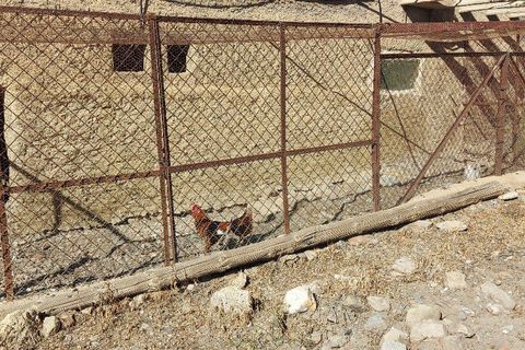 Landejendom i Sorbas, Almeria, Sorbas - € 595.000 | Ref: SOR418 - foto 29
